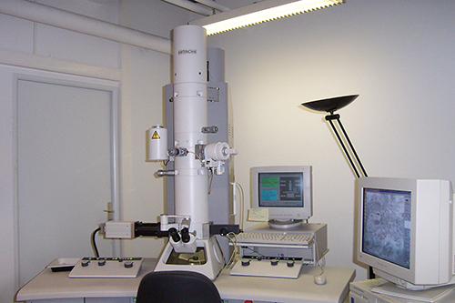 Microscope électronique par transmission 