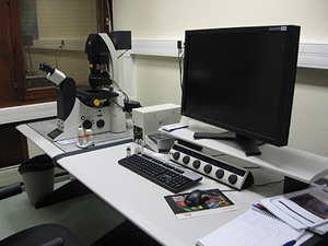 Un microscope confocal Leica SP5 II